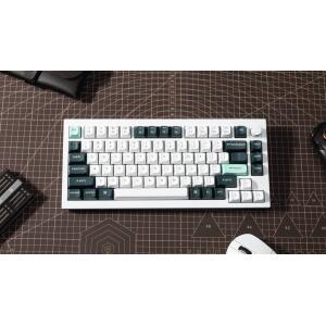 Keychron-Q1H-P1