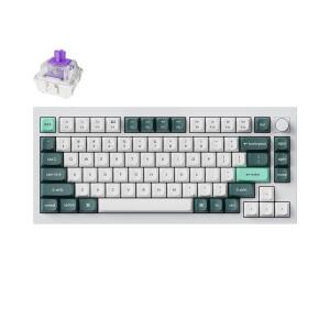 Keychron-Q1H-P1